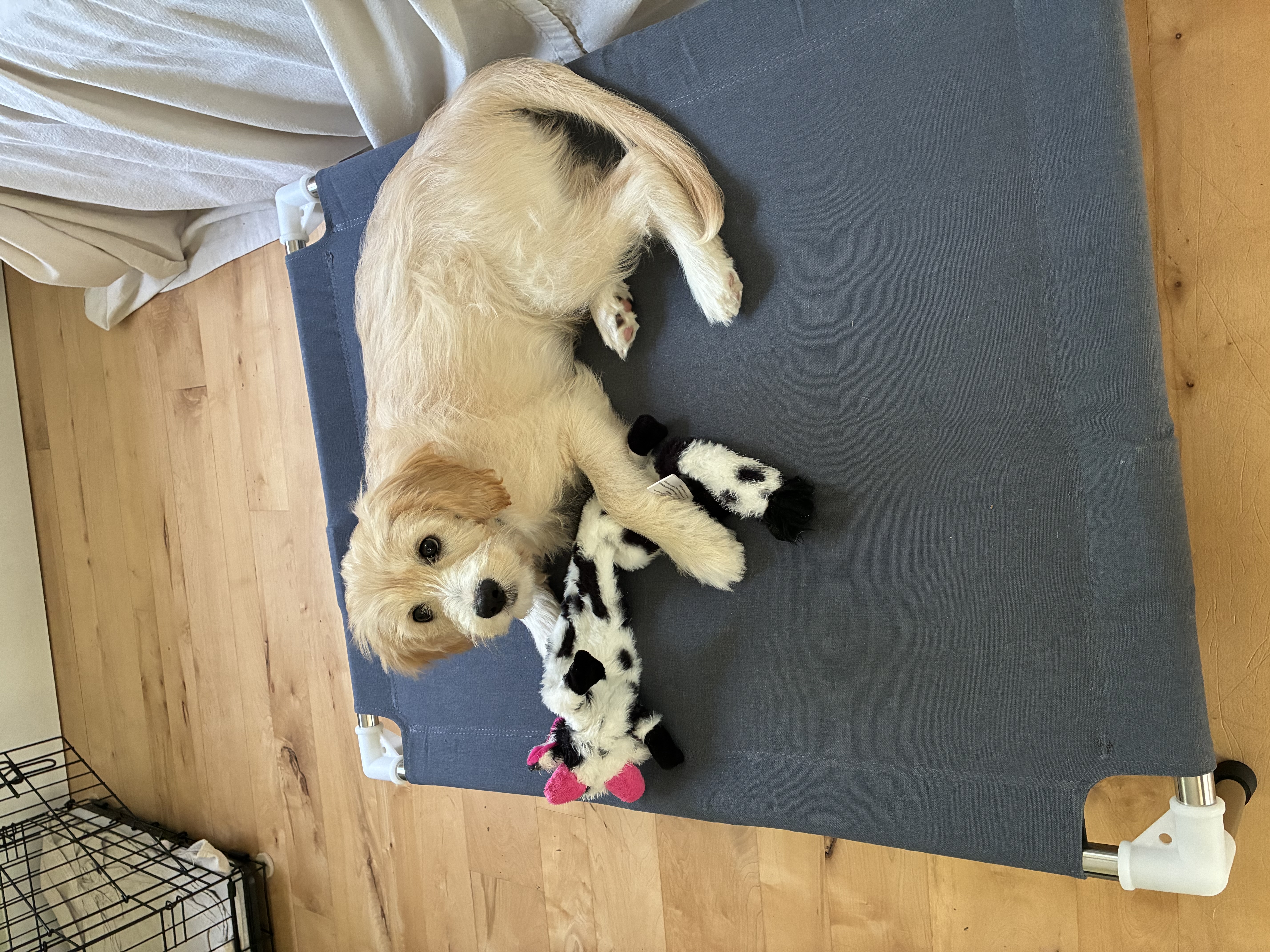 An update from Zoey