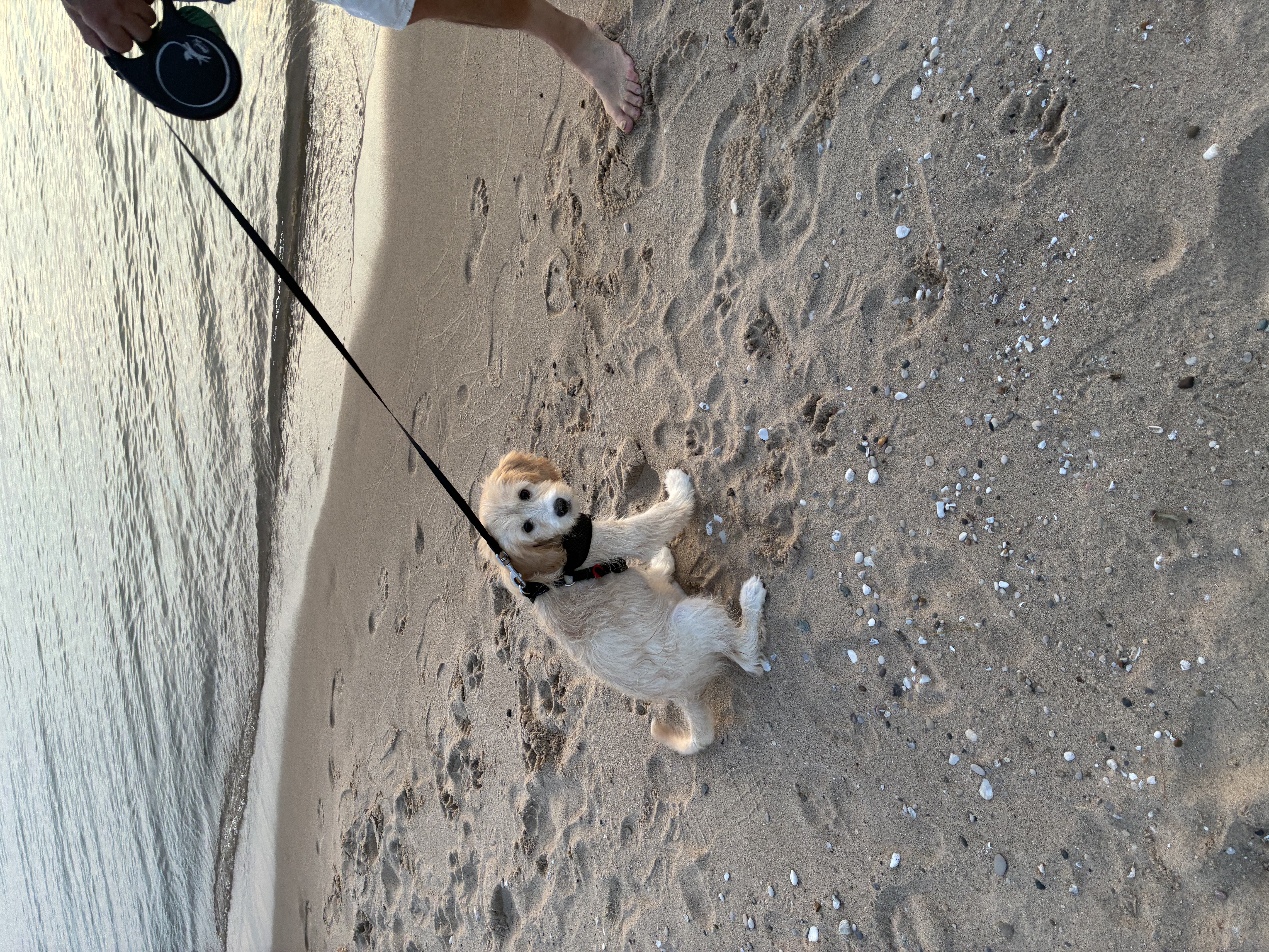 An update from Zoey