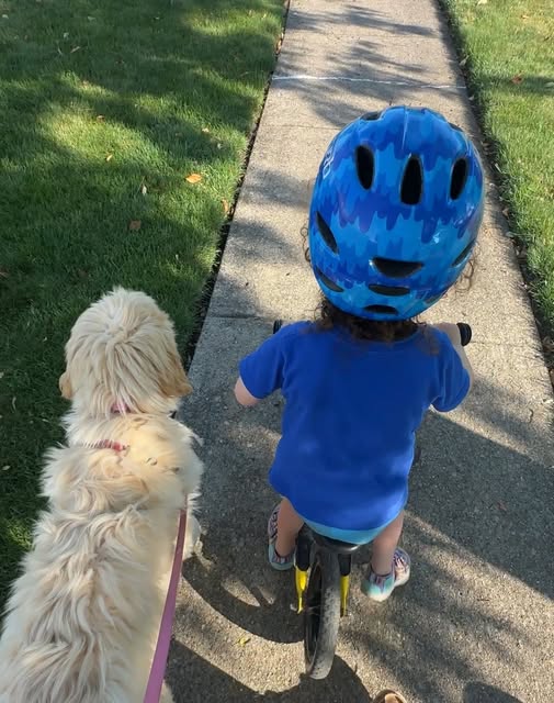 A girl riding her bike with her companion dog walking alongside